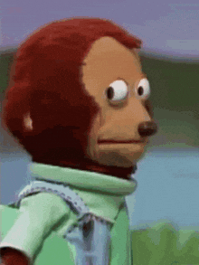 A suspicious-looking monkey puppet staring in disbelief